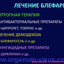 Бржеский В.В. Синдром «красного глаза»: возможности диагностики и лечения. Доклад на интернет-сессии: Инфекция в глазу! Internet-session: Ophthalmology for Therapists! (г. Москва, Россия, 22 октября 2014г.) Совместный проект портала Орган зрения organum-visus.com и Всероссийской образовательной программы для врачей "Интернет Сессия". При поддержке компании Dr.Reddy's