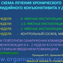 Бржеский В.В., Воронцова Т.Н. Особенности фармакотерапии конъюнктивитов у людей различного возраста. Кафедра офтальмологии с курсом клинической фармакологии СПбГПМУ. Доклад на Интернет-конференции «Место фторхинолонов в профилактике и лечении глазных инфекций». Совместный проект портала Орган зрения organum-visus.com и Всероссийской образовательной программы для врачей "Интернет Сессия" internist.ru Круглый стол для терапевтов и офтальмологов, 17 декабря 2013г., г. Москва. При поддержке компании Dr.Reddy's