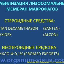 Бржеский В.В., Воронцова Т.Н. Особенности фармакотерапии конъюнктивитов у людей различного возраста. Кафедра офтальмологии с курсом клинической фармакологии СПбГПМУ. Доклад на Интернет-конференции «Место фторхинолонов в профилактике и лечении глазных инфекций». Совместный проект портала Орган зрения organum-visus.com и Всероссийской образовательной программы для врачей "Интернет Сессия" internist.ru Круглый стол для терапевтов и офтальмологов, 17 декабря 2013г., г. Москва. При поддержке компании Dr.Reddy's