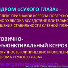 Бржеский В.В. Синдром "сухого глаза": что нового за 5 лет? Dry Eye news. Офтальмологический портал Орган зрения www.organum-visus.com