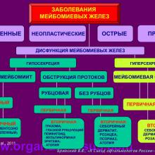 Бржеский В.В. Синдром "сухого глаза": что нового за 5 лет? Dry Eye news. Офтальмологический портал Орган зрения www.organum-visus.com