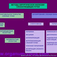 Бржеский В.В. Синдром "сухого глаза": что нового за 5 лет? Dry Eye news. Офтальмологический портал Орган зрения www.organum-visus.com