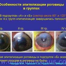 Черныш В.Ф., Чурашов С.В., Рудько А.С. Экспериментальное обоснование целесообразности применения простой блефарорафии как метода лечения при тяжелых острых ожогах глаз на этапах неспециализированной медицинской помощи. Доклад на Юбилейной конференции «Современные технологии диагностики и лечения при поражениях органа зрения», посвященной 195-летнему юбилею первой в России кафедры офтальмологии Военно-медицинской академии им. С.М.Кирова, 12-13 сентября 2013г. Информационный партнер www.organum-visus.com