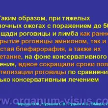 Черныш В.Ф., Чурашов С.В., Рудько А.С. Экспериментальное обоснование целесообразности применения простой блефарорафии как метода лечения при тяжелых острых ожогах глаз на этапах неспециализированной медицинской помощи. Доклад на Юбилейной конференции «Современные технологии диагностики и лечения при поражениях органа зрения», посвященной 195-летнему юбилею первой в России кафедры офтальмологии Военно-медицинской академии им. С.М.Кирова, 12-13 сентября 2013г. Информационный партнер www.organum-visus.com