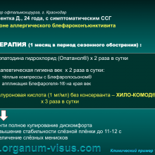 Клинический пример 1. Сухой глаз на фоне аллергического блефароконъюнктивита (dry eye, clinicalexamples). Портал Орган зрения www.organum-visus.com