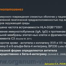 Дроздова Е.А. Роль поражения глаз при пемфигоиде слизистых оболочек (mucous membrane pemphigoid) в развитии роговичной слепоты (Южно-Уральский государственный медицинский университет, г. Челябинск, Россия). Доклад на VII Российском общенациональном офтальмологическом форуме (РООФ-2014, AROF-2014), г. Москва. Информационный партнер www.organum-visus.com