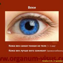 Голубев С.Ю. Инфекция в глазу и рядом (Golubev Sergey. Infection of the eye). Доклад на Интернет-конференции «Место фторхинолонов в профилактике и лечении глазных инфекций». Совместный проект портала Орган зрения organum-visus.com и Всероссийской образовательной программы для врачей "Интернет Сессия" internist.ru Круглый стол для терапевтов и офтальмологов, 17 декабря 2013г., г. Москва, Россия. При поддержке компании Dr.Reddy's