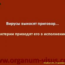 Голубев С.Ю. Инфекция в глазу и рядом (Golubev Sergey. Infection of the eye). Доклад на Интернет-конференции «Место фторхинолонов в профилактике и лечении глазных инфекций». Совместный проект портала Орган зрения organum-visus.com и Всероссийской образовательной программы для врачей "Интернет Сессия" internist.ru Круглый стол для терапевтов и офтальмологов, 17 декабря 2013г., г. Москва, Россия. При поддержке компании Dr.Reddy's
