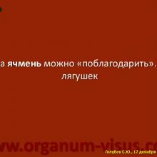 Голубев С.Ю. Инфекция в глазу и рядом (Golubev Sergey. Infection of the eye). Доклад на Интернет-конференции «Место фторхинолонов в профилактике и лечении глазных инфекций». Совместный проект портала Орган зрения organum-visus.com и Всероссийской образовательной программы для врачей "Интернет Сессия" internist.ru Круглый стол для терапевтов и офтальмологов, 17 декабря 2013г., г. Москва, Россия. При поддержке компании Dr.Reddy's
