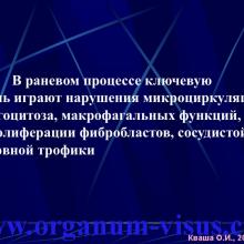 Кваша О.И. NO-терапия в офтальмотравматологии. Экспериментально-клиническое исследование. Гундорова Р.А., Чеснокова Н.Б., Кваша О.И., Шехтер А.Б., Пекшев А.В., Давыдова Н.Г., Безнос О.В., Столярова Е.П., Горбачева О.В., Косакян С.М., Сиала С. (МНИИ глазных болезней им. Гельмгольца (директор - д.м.н., профессор В.В.Нероев) Отдел травм органа зрения, реконструктивной хирургии и глазного протезирования (руководитель – д.м.н., профессор Р.А.Гундорова)), Kvasha O.I. NO-therapy in ophthalmology.