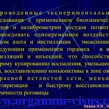 Кваша О.И. NO-терапия в офтальмотравматологии. Экспериментально-клиническое исследование. Гундорова Р.А., Чеснокова Н.Б., Кваша О.И., Шехтер А.Б., Пекшев А.В., Давыдова Н.Г., Безнос О.В., Столярова Е.П., Горбачева О.В., Косакян С.М., Сиала С. (МНИИ глазных болезней им. Гельмгольца (директор - д.м.н., профессор В.В.Нероев) Отдел травм органа зрения, реконструктивной хирургии и глазного протезирования (руководитель – д.м.н., профессор Р.А.Гундорова)), Kvasha O.I. NO-therapy in ophthalmology.