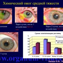 Кваша О.И. NO-терапия в офтальмотравматологии. Экспериментально-клиническое исследование. Гундорова Р.А., Чеснокова Н.Б., Кваша О.И., Шехтер А.Б., Пекшев А.В., Давыдова Н.Г., Безнос О.В., Столярова Е.П., Горбачева О.В., Косакян С.М., Сиала С. (МНИИ глазных болезней им. Гельмгольца (директор - д.м.н., профессор В.В.Нероев) Отдел травм органа зрения, реконструктивной хирургии и глазного протезирования (руководитель – д.м.н., профессор Р.А.Гундорова)), Kvasha O.I. NO-therapy in ophthalmology.