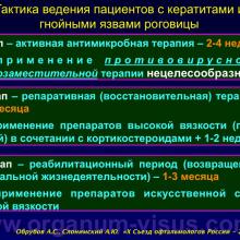 Обрубов А.С., Слонимский А.Ю. Анализ причин и результаты лечения пациентов с кератитами и язвами роговицы, связанных с ношением контактных линз. Доклад на «X Съезде офтальмологов России-2015». Портал Орган зрения www.organum-visus.com